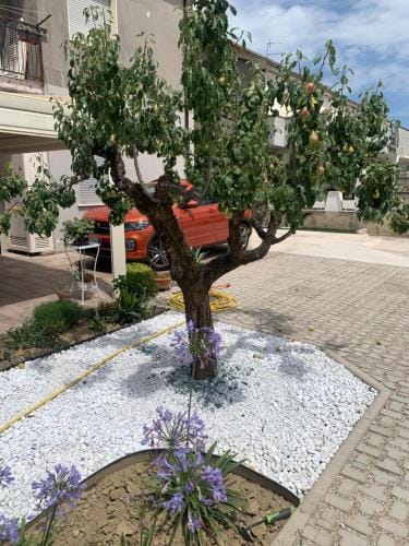 La Casa di Toni Hotel in Pescara