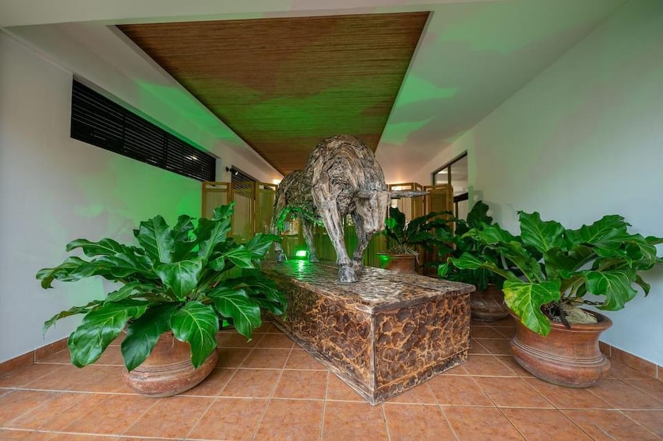 Hotel Costa Pacifica Hotel in San José Province