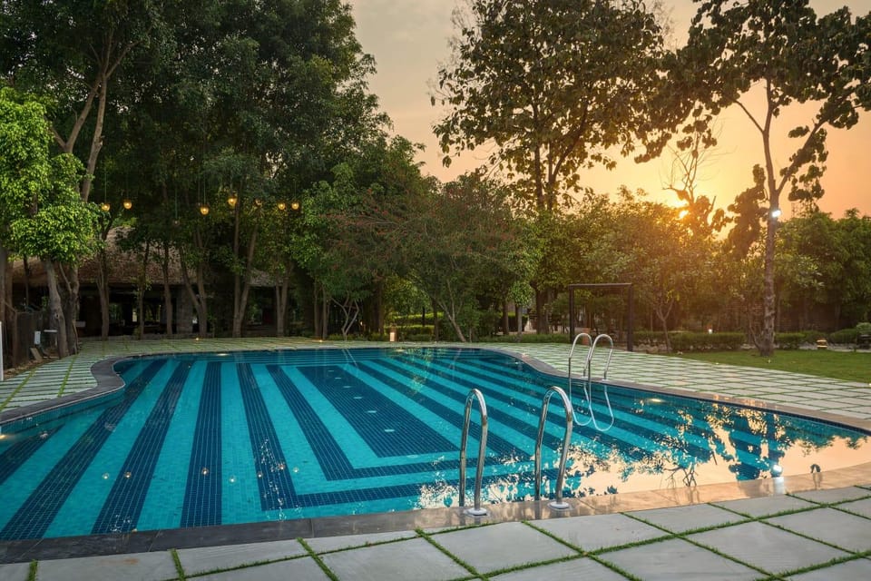 Swimming pool [outdoor]
