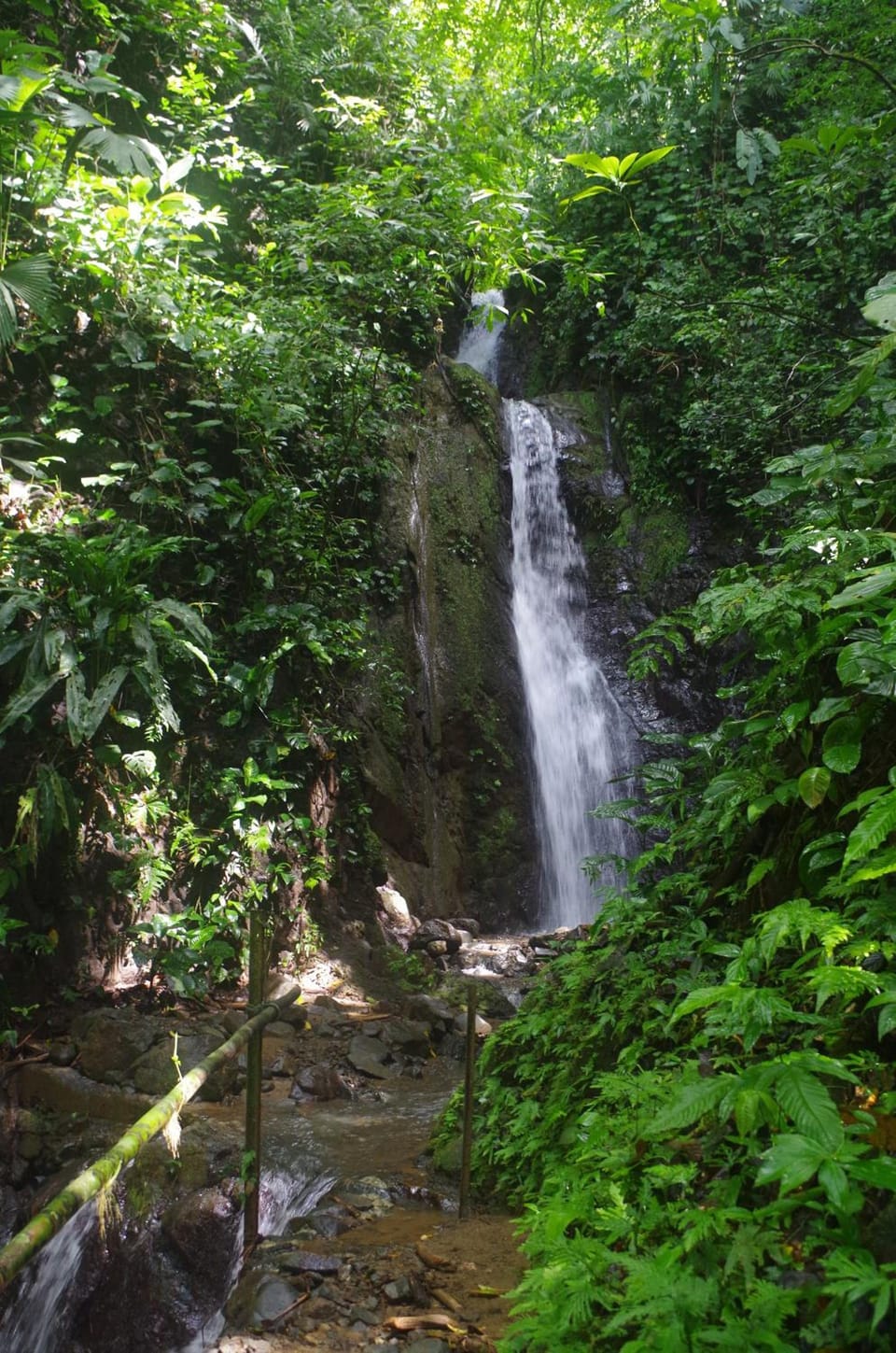 Cabinas Golfito Motel in Puntarenas Province