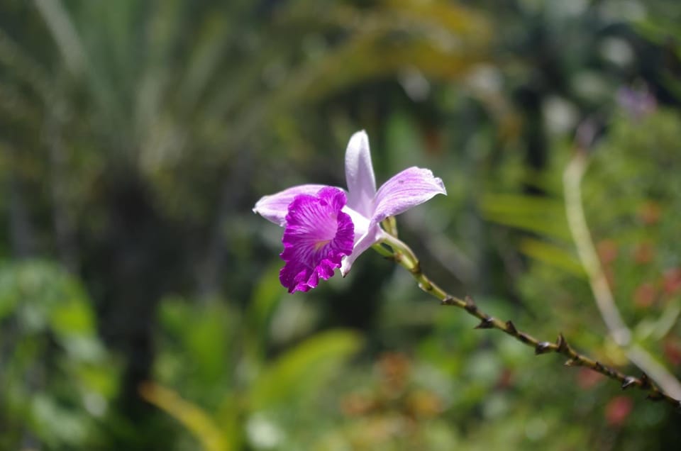 Cabinas Golfito Motel in Puntarenas Province