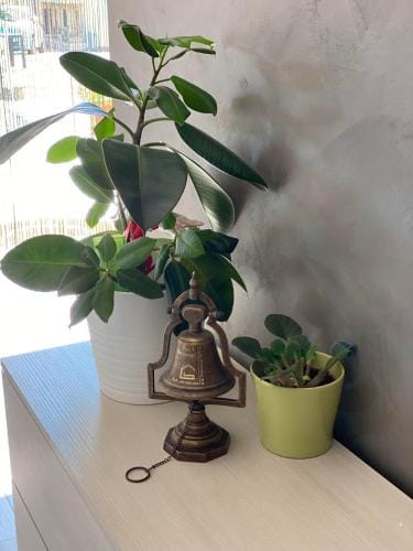 B&B Tirassegno Hotel in Molise, Italy