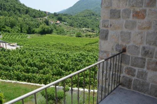 Markovic Winery and Estate apartments Hotel in Montenegro