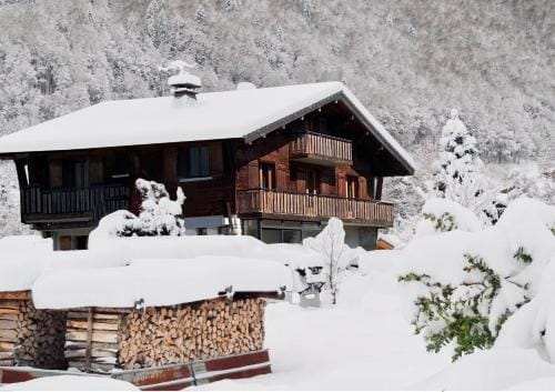 The Fat Fox Lodge, Morzine Lodge in Montriond