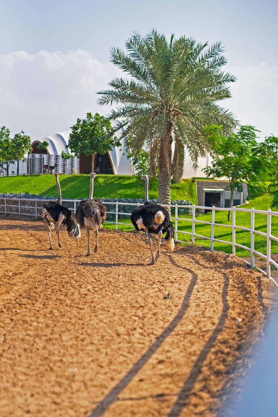 Nirvana Retreat Hotel in Ras al Khaimah