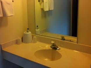 D-Lux Budget Inn Lemont Motel in Indiana
