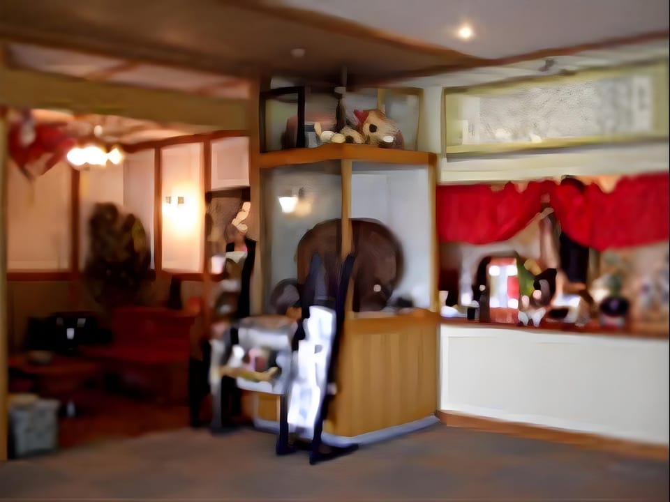 Yamasanso Hotel Hotel in Nozawaonsen