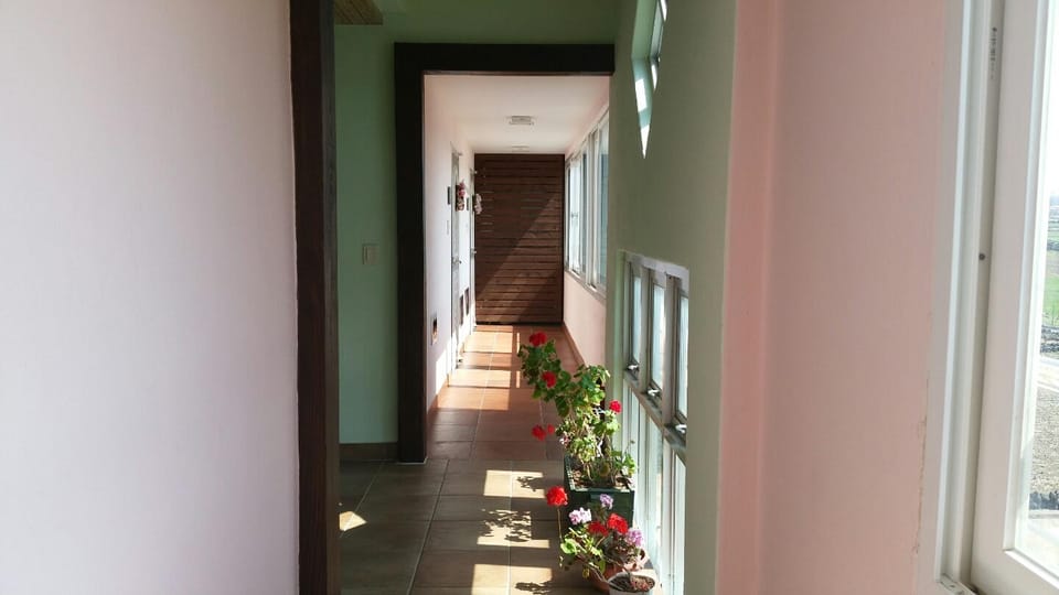 Flora Pension In Jeju Resort in South Korea