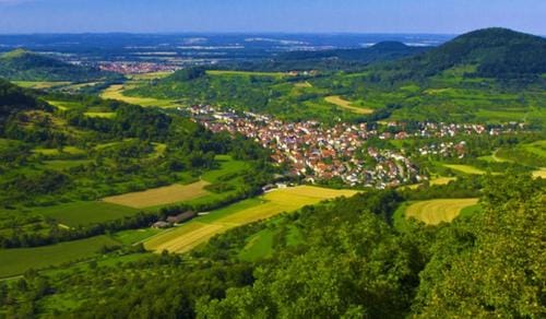 Gasthaus Lowen Inn in Sinsheim