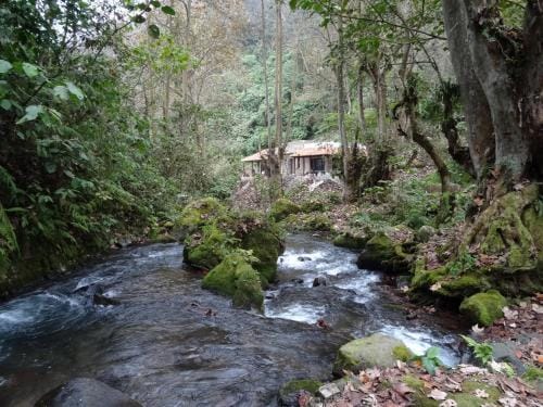 Recinto Natural SEMUK Lodge in State of Puebla
