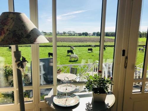 Bed & Breakfast Het Zilte Zand - luxe ontbijt - gratis parking - Westende Middelkerke Hotel in Middelkerke