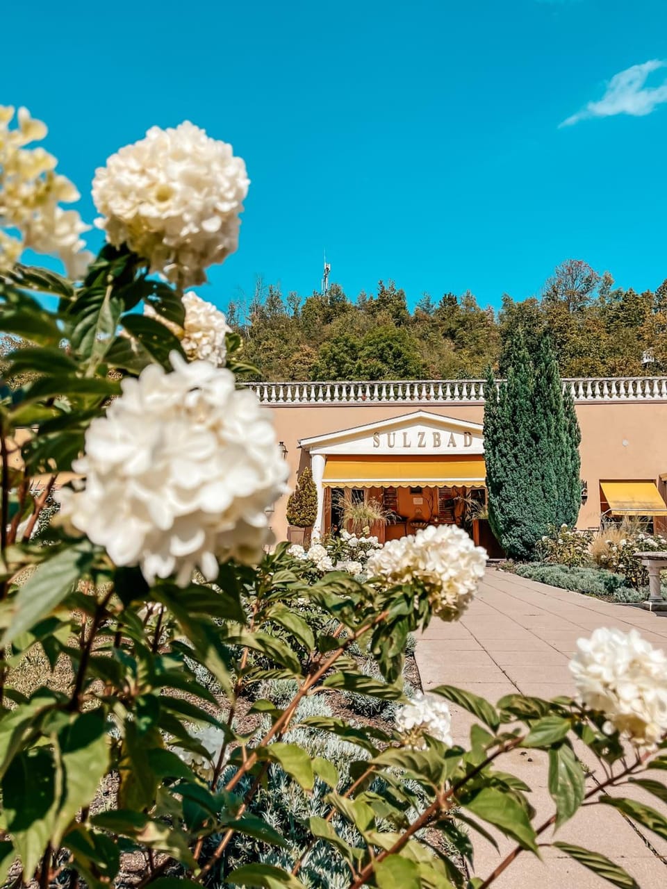 Bleu Minuit La Source Lodge in Grand Est