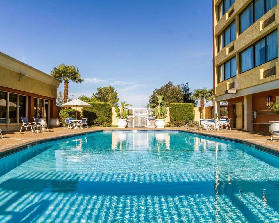 Swimming pool [outdoor]