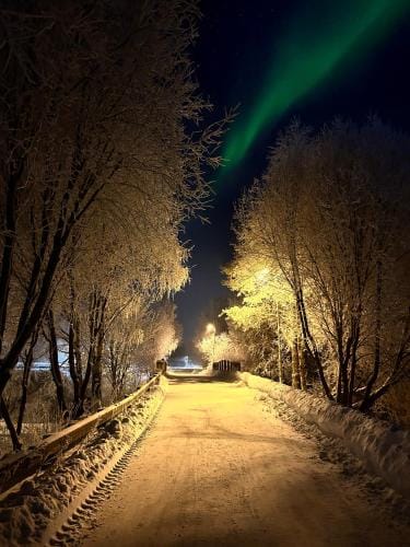 Guest house - Northern tealight Hotel in Rovaniemi