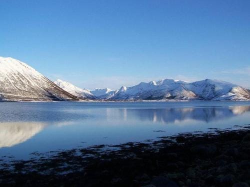 Guesthouse Northern Lights - Andøya/Vesteralen Lodge in Nordland, Norway