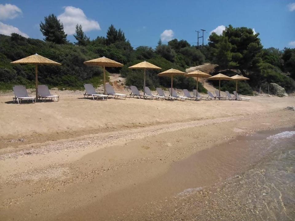 Red Coral Apartments Hotel in Halkidiki