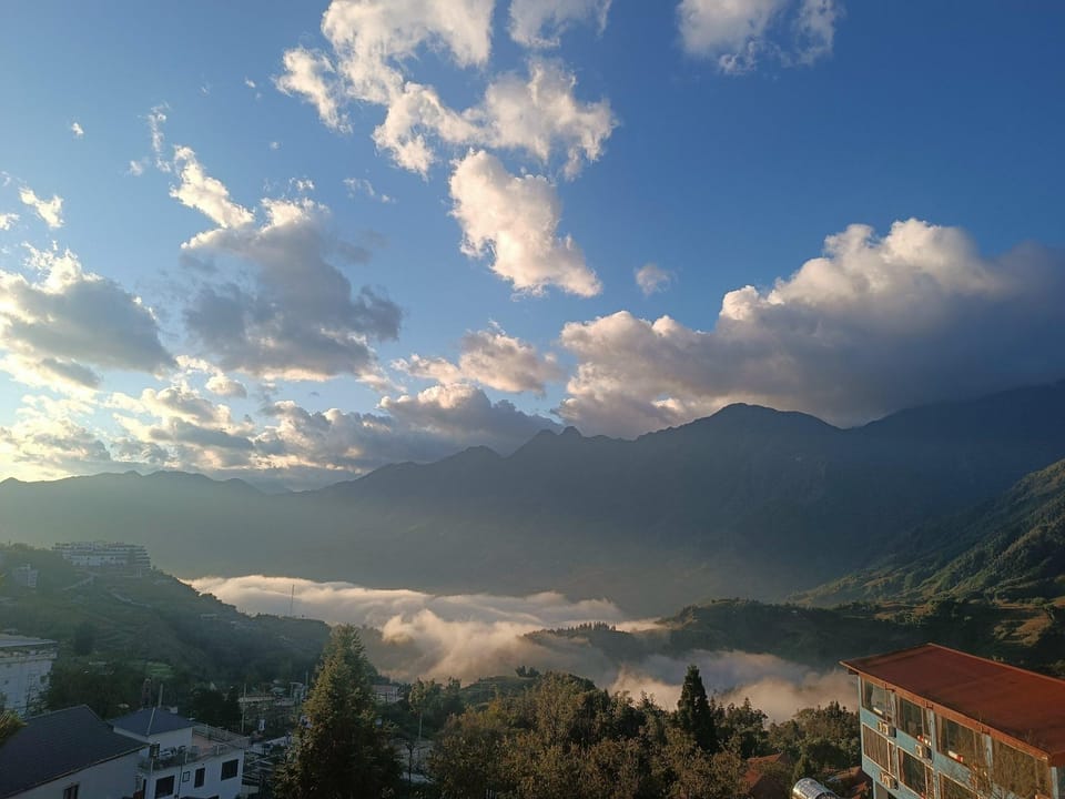 View