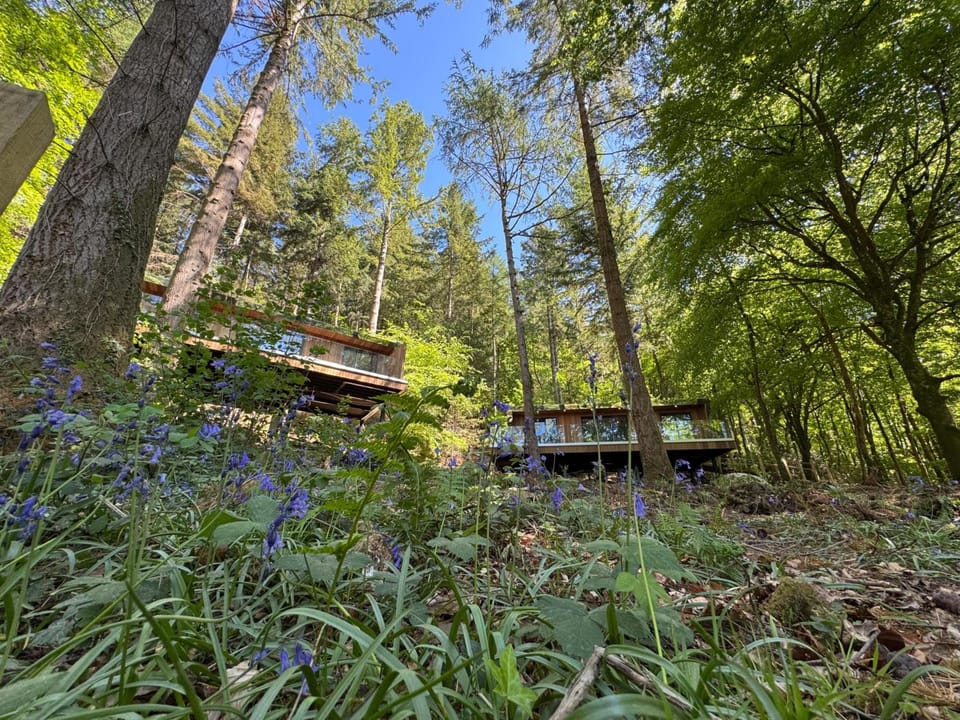 Forest Lodges Lodge in Bro Garmon