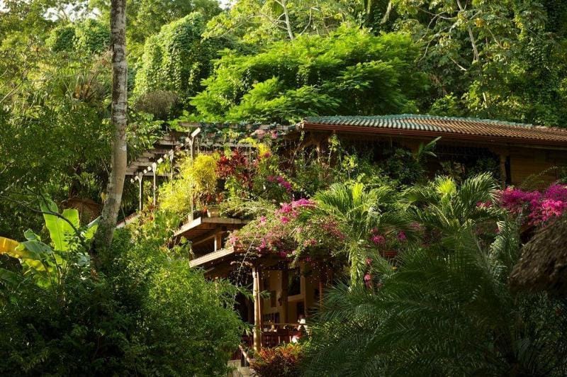 Ian Anderson's Caves Branch Adventure Co Hotel in Cayo District