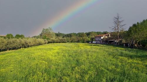 B&B Zvana's - Da Giovanna Hotel in Imola