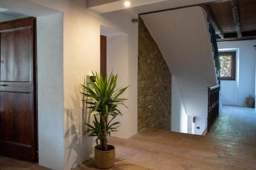 Dimidium Hotel in Emilia-Romagna