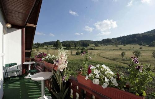 Adriana Guesthouse Hotel in Jezerce