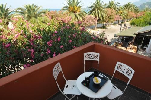 Le Petit Chateau Hotel in Montenegro