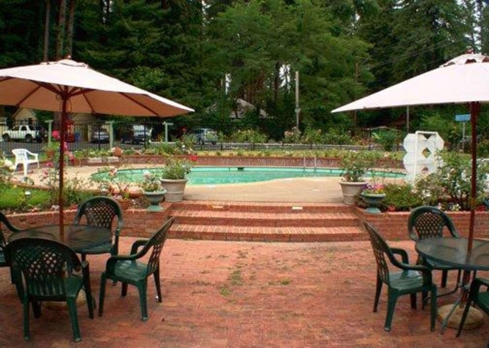 Swimming pool [outdoor]