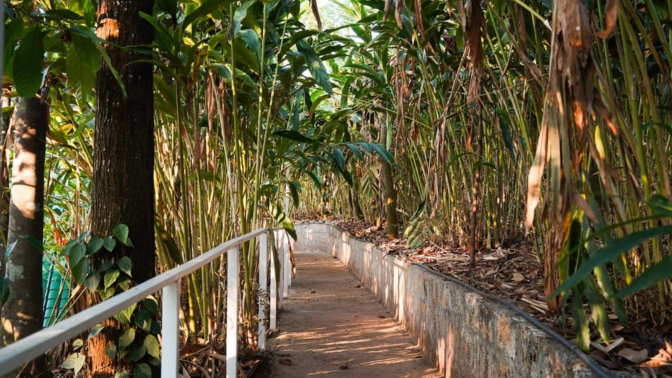Willmount Cabin Homes, Munnar Resort in Kerala