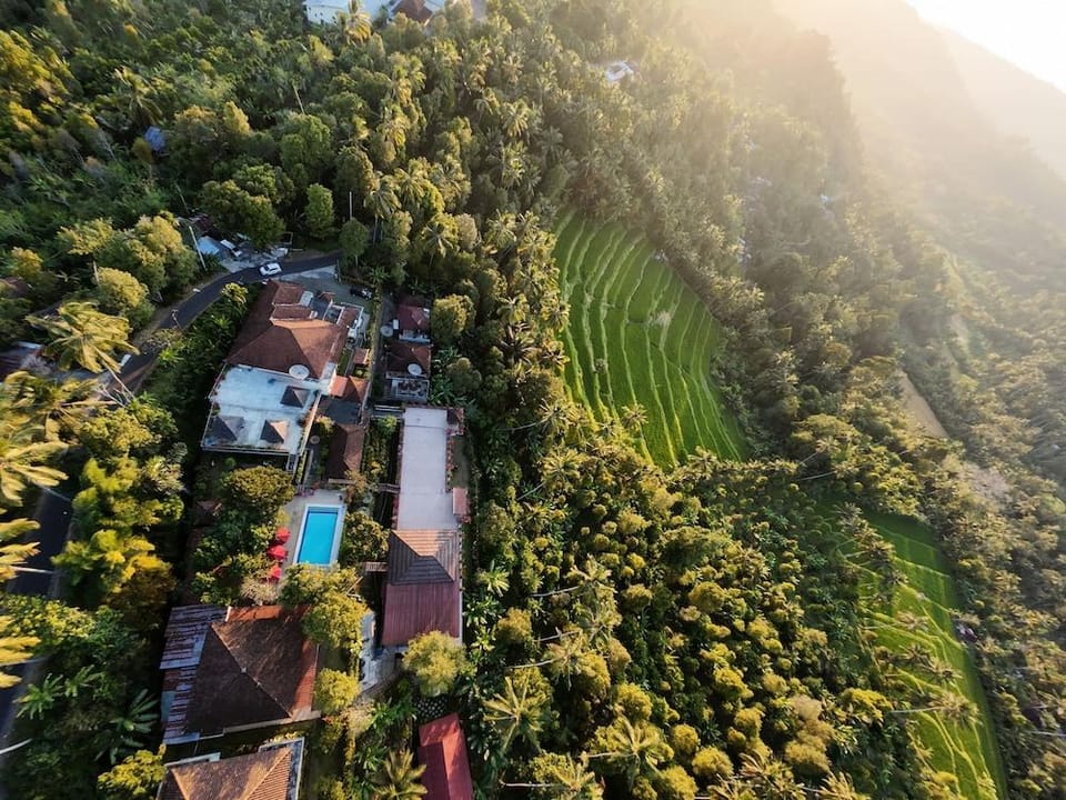 Villa Ipsa Hotel in Bali