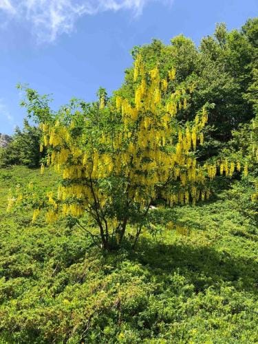 Stanza privata a 10 minuti dall'Abetone Lodge in Emilia-Romagna