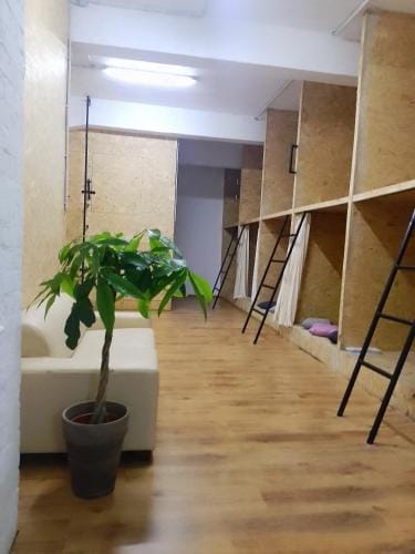BUDGET Apt Dresden Trainstation - Fox Box Hotel in Dresden