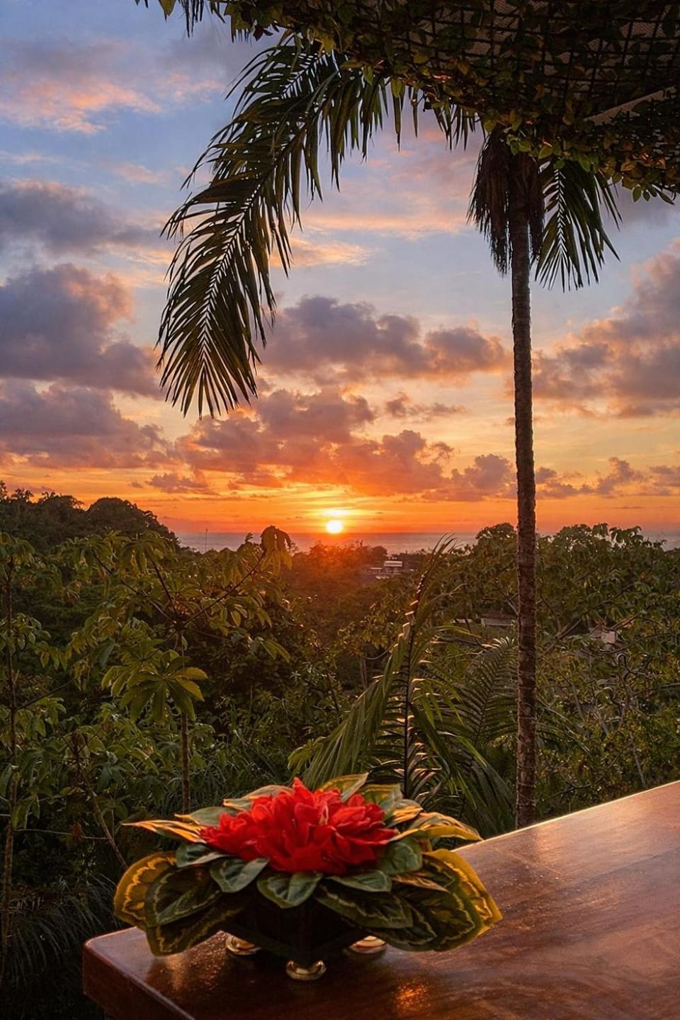 Mountain Top Park Hotel Hotel in Quepos