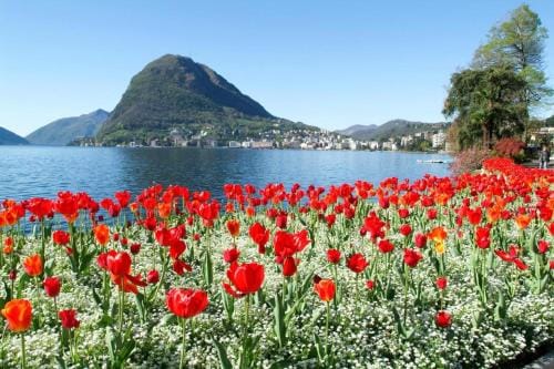 Le palme Hotel in Lugano
