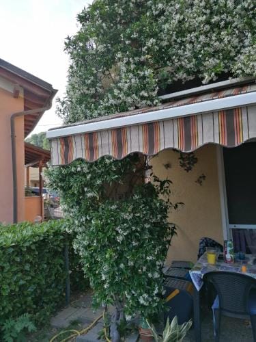Le palme Hotel in Lugano
