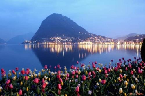 Le palme Hotel in Lugano