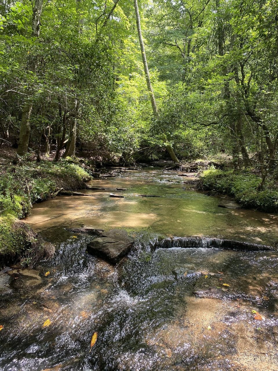 The Copperhead Lodge Hotel in Union County