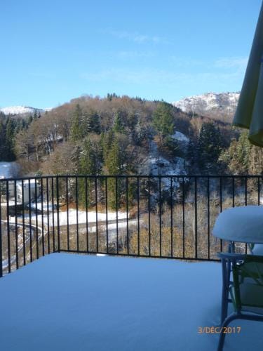 LOGIS HOTEL Les Tilleuls Hotel in Auvergne-Rhône-Alpes