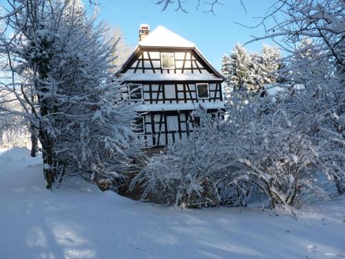 Ferme Auberge du Moulin des Sept Fontaines Hotel in Rhineland-Palatinate