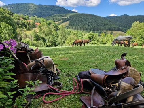 Eco Lodge Taor Hotel in Zlatibor District, Serbia