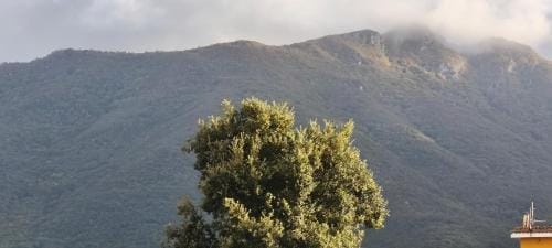 I Fiori di AminA "Le Rose" Hotel in Campania