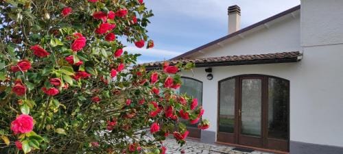 B&B Villa Magnolia Hotel in Umbria