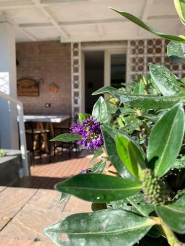 R&B Dalla Licia Hotel in Emilia-Romagna