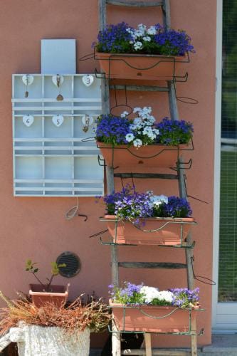 Affittacamere Il Torchio Hotel in Liguria