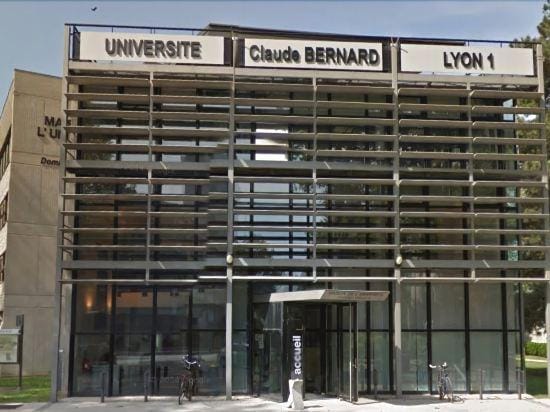 NATURALBNB Hotel in Villeurbanne