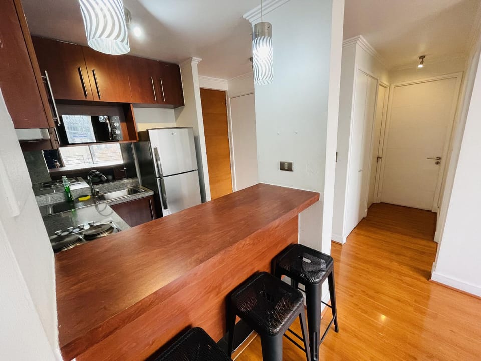 Rho.cl Hotel in Providencia