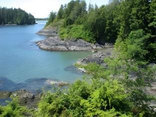 Duffin Cove Resort Resort in Tofino