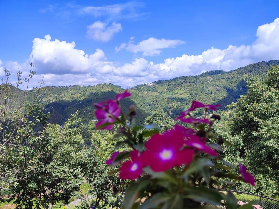Kennys Kottage Hotel in Uttarakhand