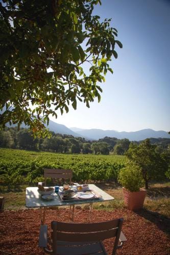 Domaine de Provensol Hotel in Provence-Alpes-Côte d'Azur