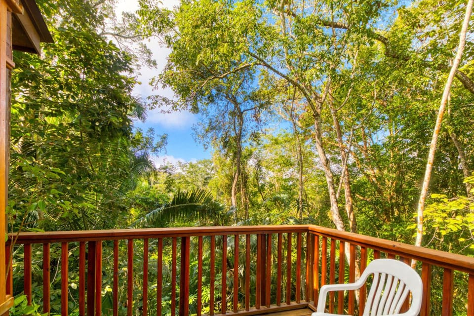 Mariposa Jungle Lodge Hotel in Cayo District